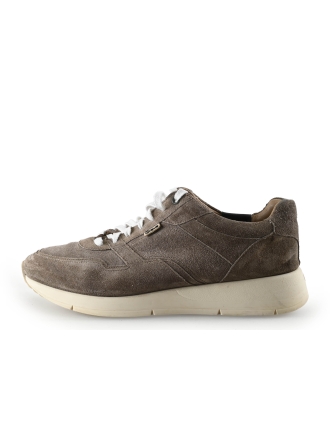 Greve Sneakers Bruin 339232
 Maat 43
 