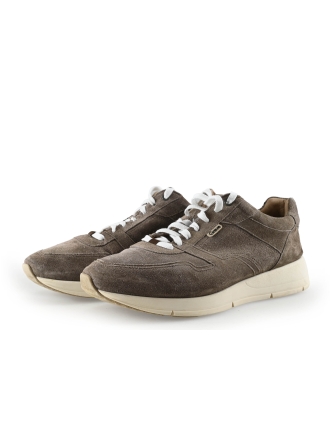 Greve Sneakers Bruin 339232
 Maat 43
 