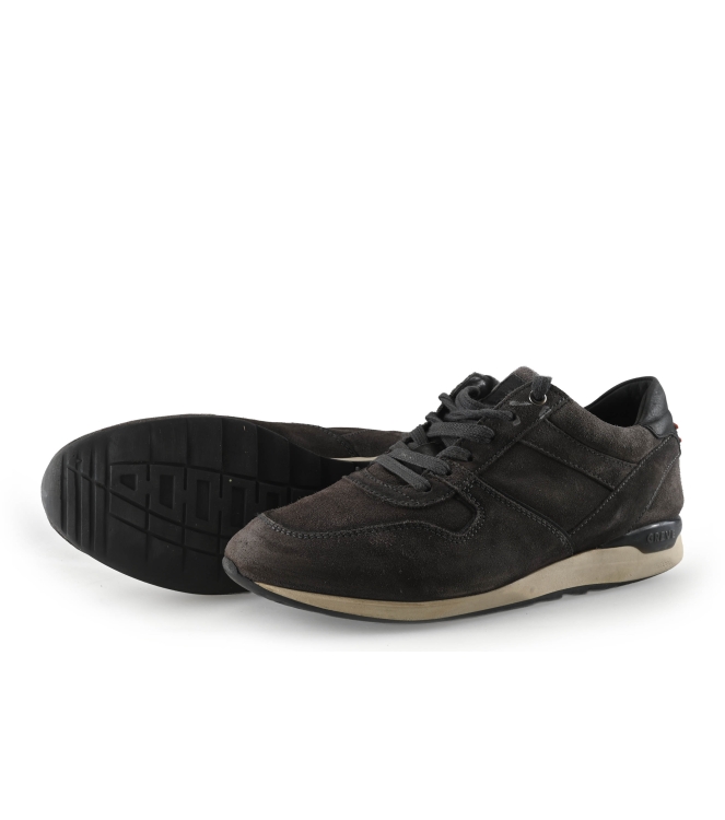 Greve Sneakers