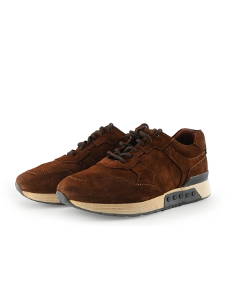 Greve Sneakers Bruin 339422
 Maat 40
 