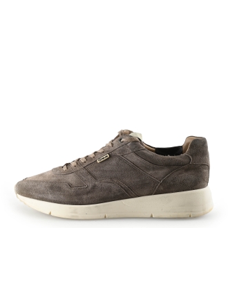 Greve Sneakers Bruin 341088
 Maat 44
 