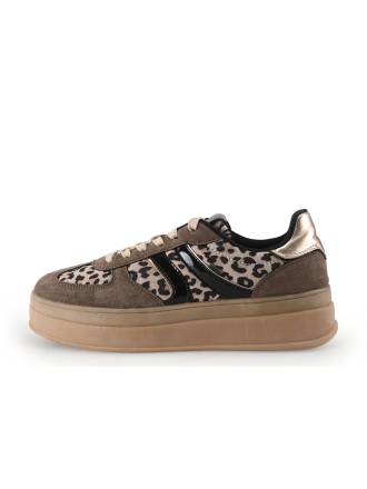 Poelman Sneakers Bruin 344121
 Maat 39
 