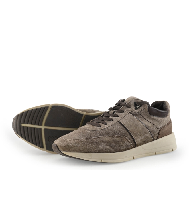 Greve Sneakers
