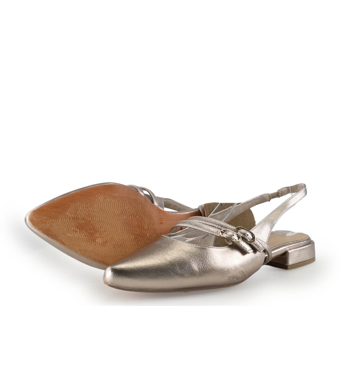 Marco Tozzi Muiltjes