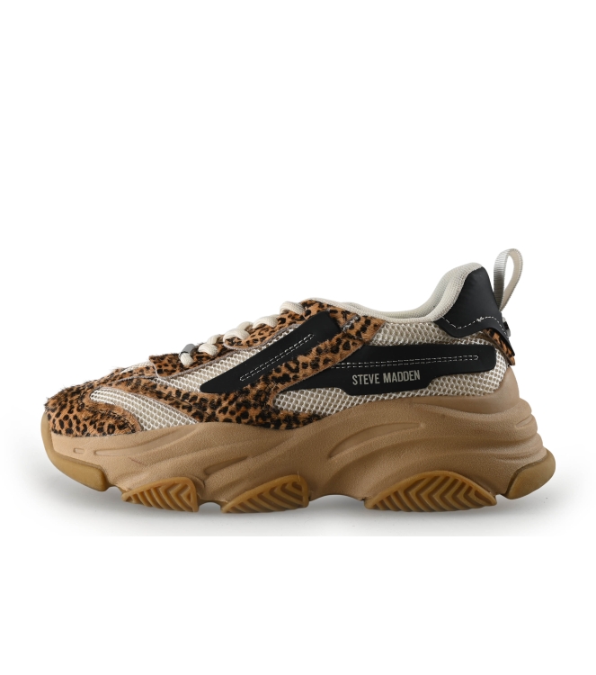 Steve Madden Sneakers