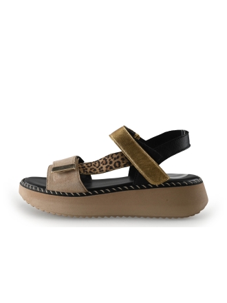 Gabor Sandalen Beige 347731
 Maat 41
 