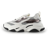 Steve Madden Sneakers