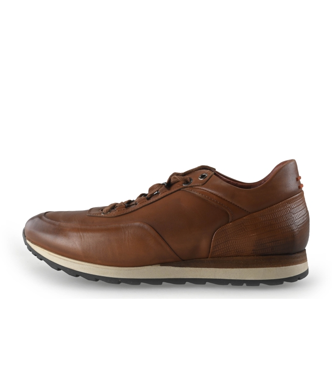 Greve Sneakers