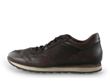 Greve Sneakers