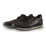 Greve Sneakers