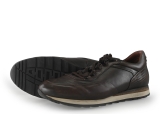 Greve Sneakers