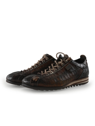 Harris Sneakers Bruin 348996
 Maat 45
 