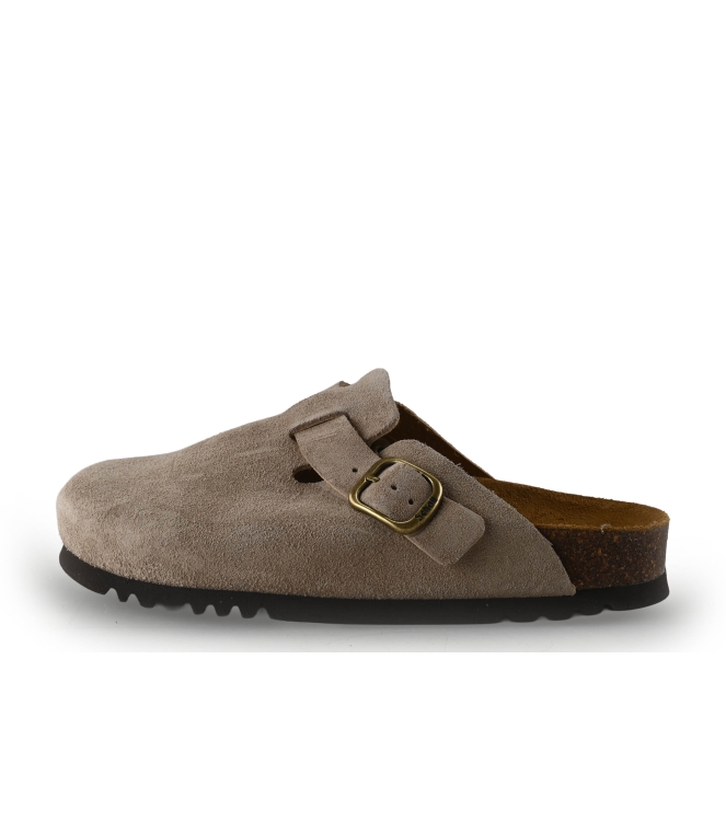 Scholl Slippers