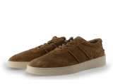 Greve Sneakers