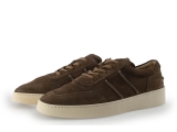 Greve Sneakers