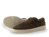 Greve Sneakers