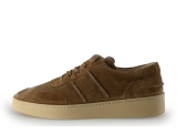 Greve Sneakers
