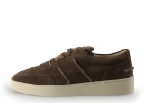 Greve Sneakers