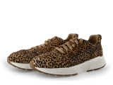 Xsensible Sneakers