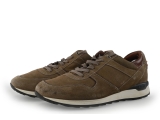 Greve Sneakers