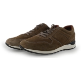 Greve Sneakers