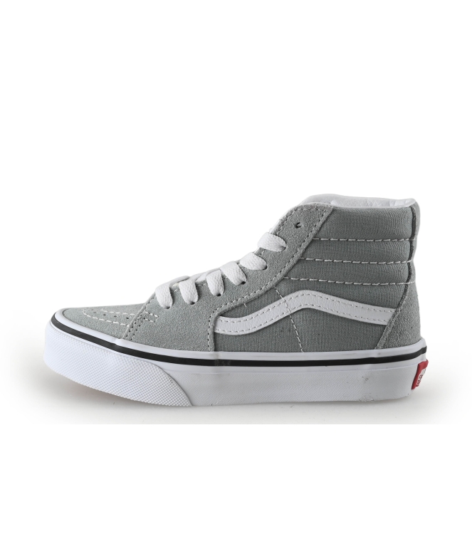Vans Hoge sneakers