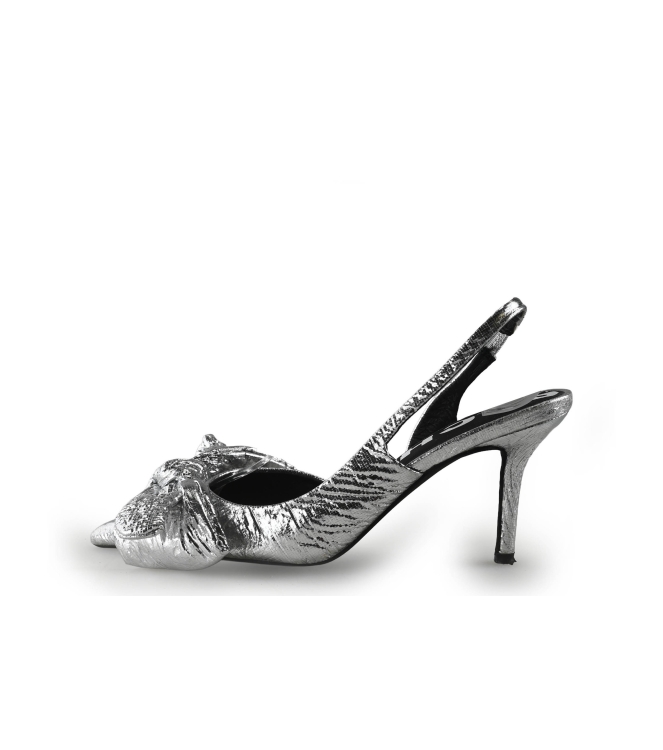 Sacha Pumps