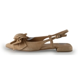 Manfield Ballerina's