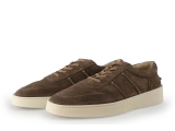 Greve Sneakers