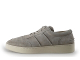 Greve Sneakers