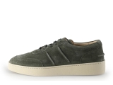 Greve Sneakers