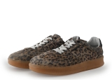 Steve Madden Sneakers