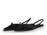 Sacha Ballerina's