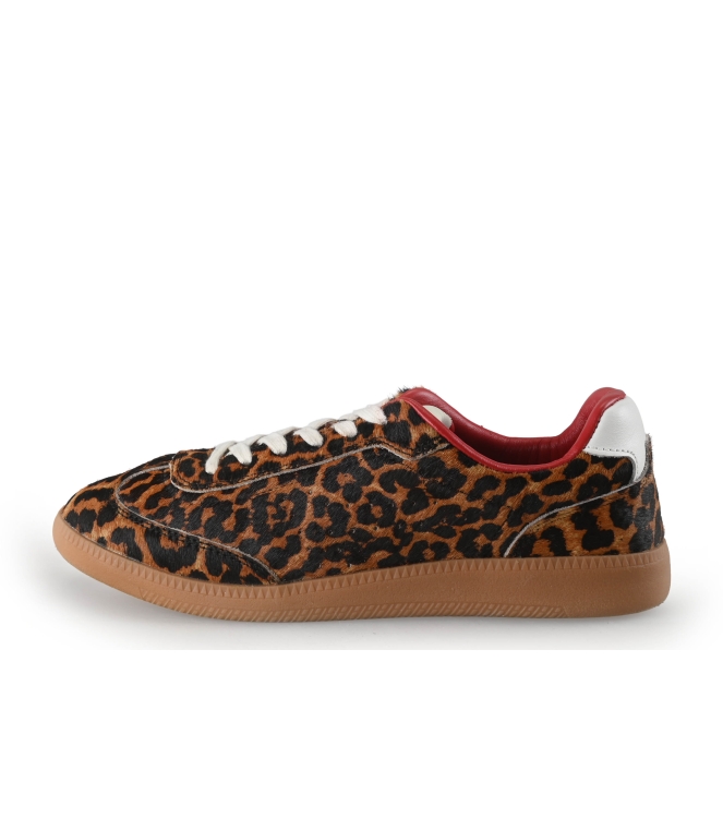 Sacha Sneakers