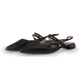 Manfield Ballerina's