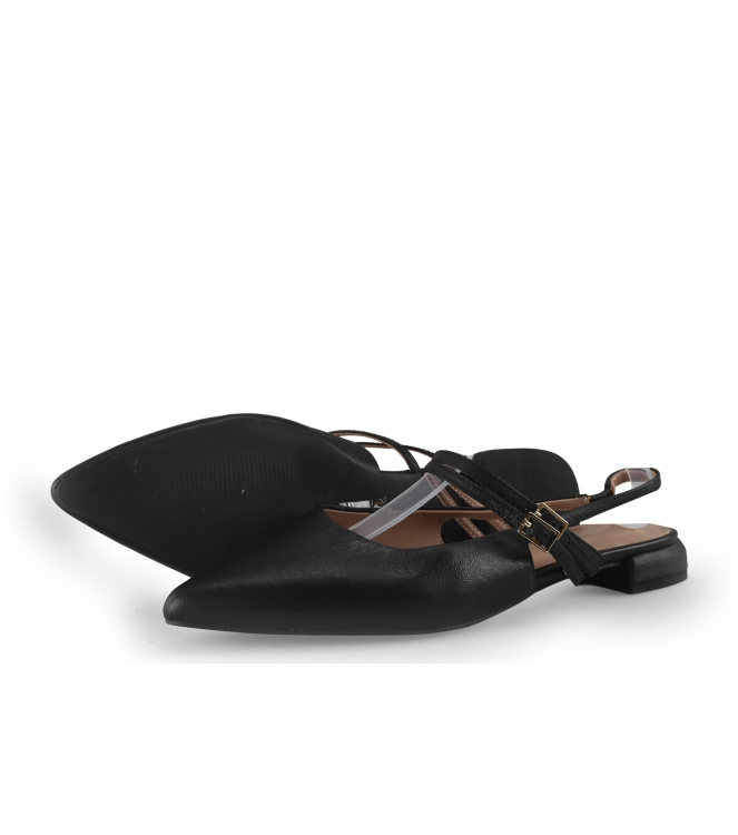 Manfield Ballerina's