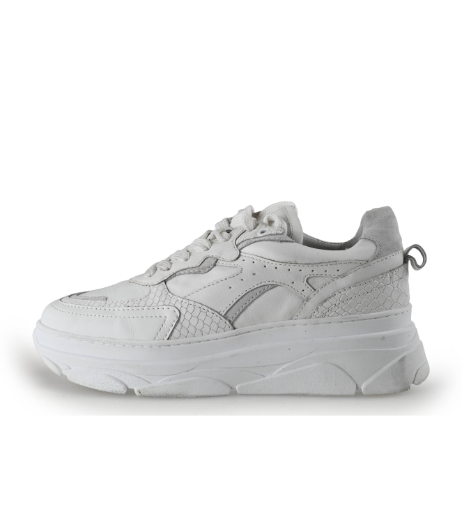 Sacha Sneakers