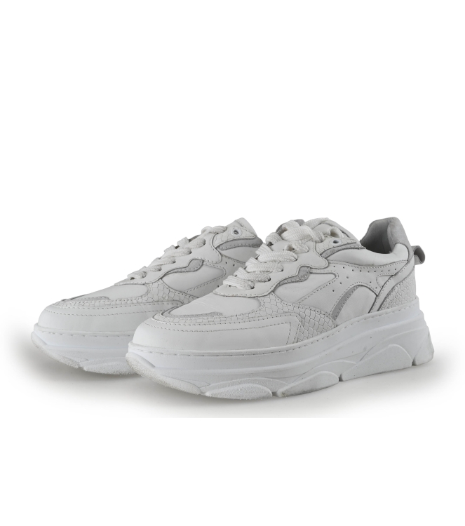 Sacha Sneakers