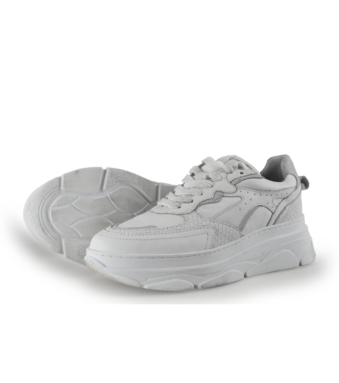 Sacha Sneakers