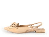 Manfield Ballerina's