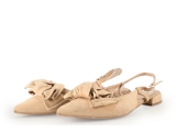 Manfield Ballerina's