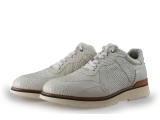 Greve Sneakers