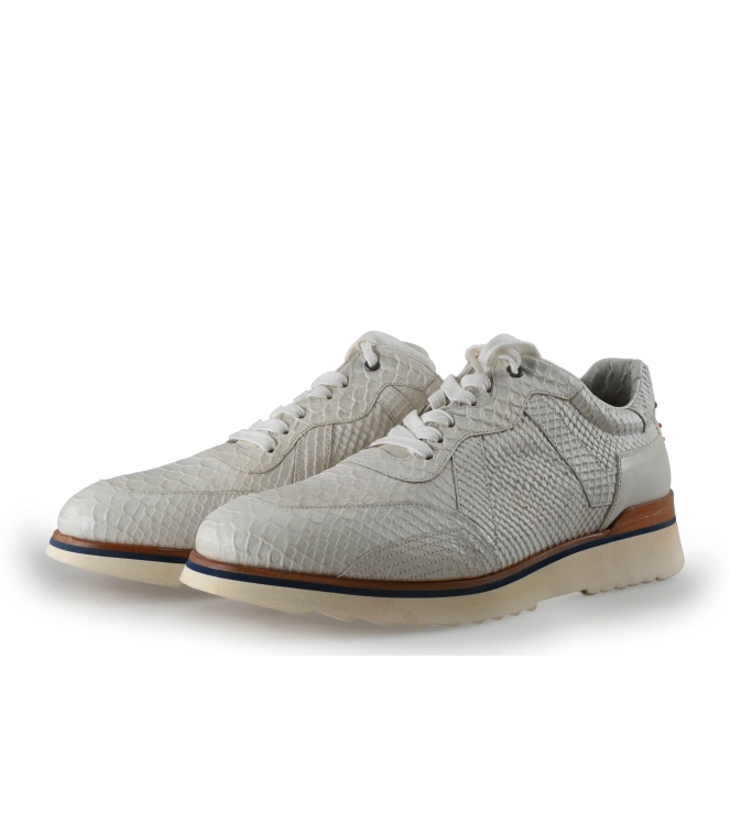 Greve Sneakers