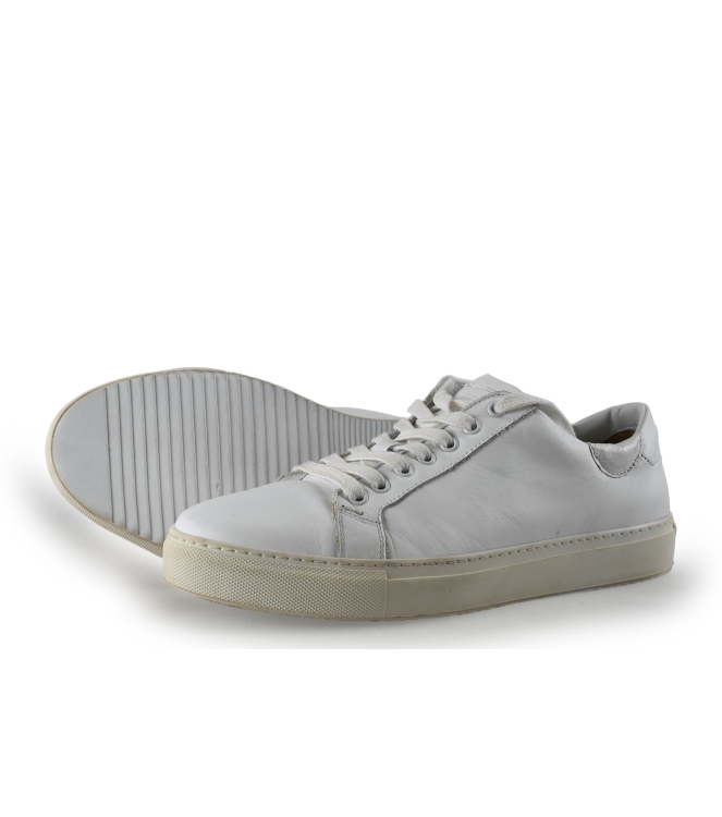 Greve Sneakers