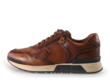 Greve Sneakers