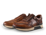 Greve Sneakers