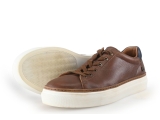 manfield 