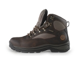 Timberland Wandelschoenen