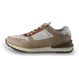 Greve Sneakers