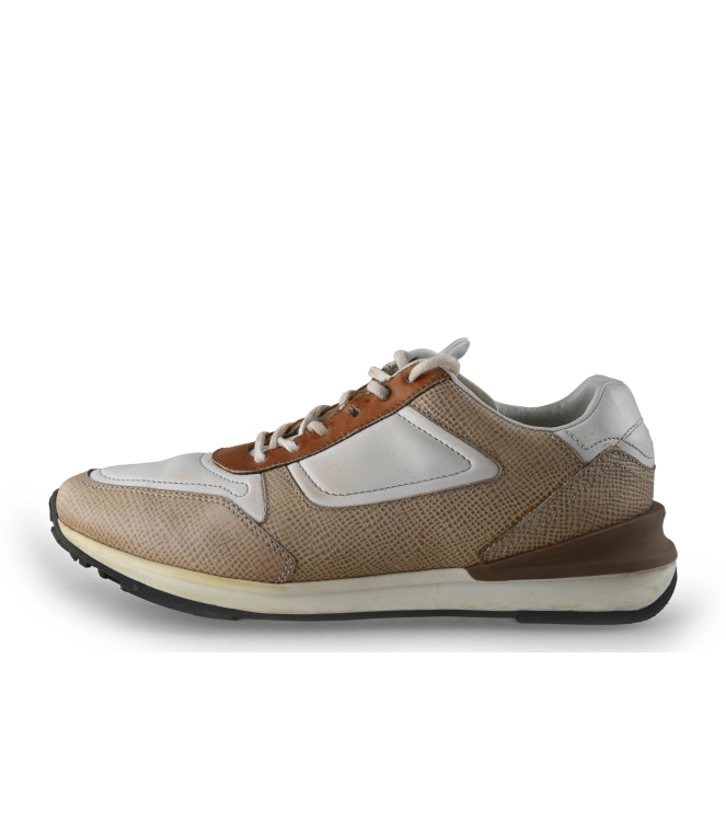 Greve Sneakers